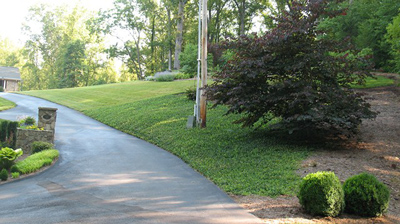 Weed Control, Kingsport, TN