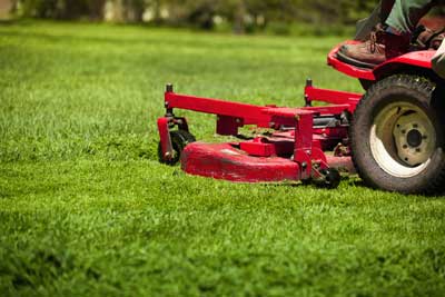 Want an Easy Summertime Lawn Care Routine? Our Lawn Maintenance Services are the Answer!