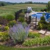 Pool Landscaping in Johnson City, Tennessee